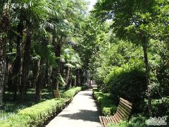 -徐家汇源景区-衡山公园