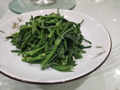 葱香丝瓜尖-香丰阁·烤鸭·川湘菜(清河店)