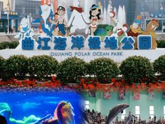 -西安曲江海洋极地公园