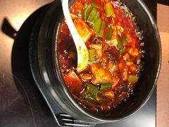 -陈麻婆豆腐总店