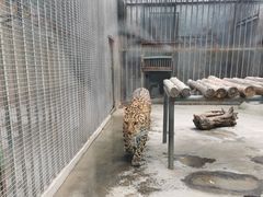-郑州市动物园