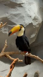 -Zoolung Zoolung动物主题公园(海信广场店)