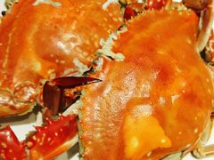 -北塘海鲜·天津菜(大光明桥旗舰店)