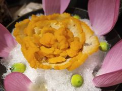 -菌自由丨野生菌火锅特色庭院餐厅(丽江古城店)