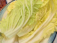 -乳仔牛牦牛汤锅 烤羊排(松潘古城店)