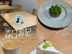 -猫里有甜
