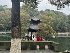 -忠山公园