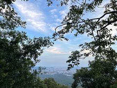 -紫金山山顶公园