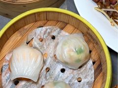 -阿诚市井潮汕菜(金台路店)