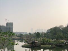 -王借岗森林公园