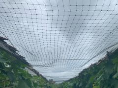 -马陆小张葡萄园农家乐