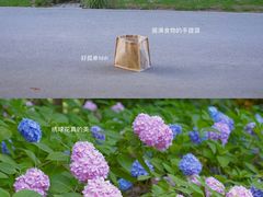 -上海滨江森林公园