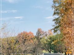 -东湖听涛景区