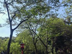 -烈士陵园(地铁站)