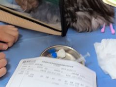 -美联众合动物医院·24h京西诊疗中心