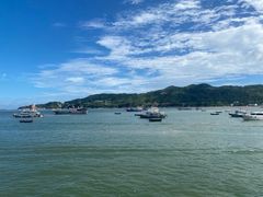 -渔寮风景区