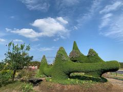 -东平国家森林公园