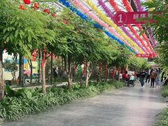 -南宫五洲植物乐园