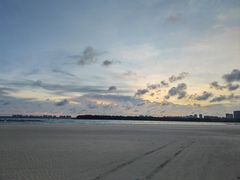 -东郊椰林