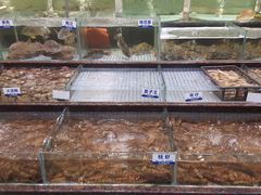 -新海利海鲜城·41年珠海老字号(夏湾店)