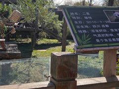 -济南野生动物世界