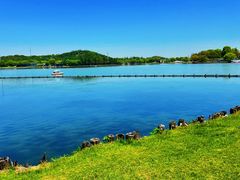 -上海月湖雕塑公园