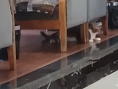 -德庆林厨房