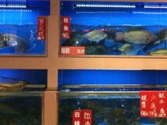 水产区-皮记海鲜1995(寮步店)