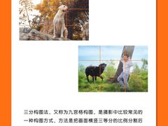 -CGWANG王氏教育(上海校区)