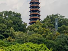 -麗枫酒店(深圳机场福永地铁站店)