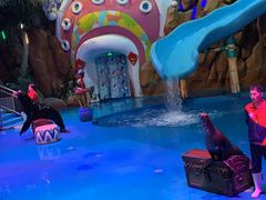 -烟台海昌鲸鲨海洋公园