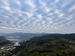-野象谷景区