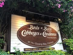 -卷心菜和避孕套餐厅(Pattaya)