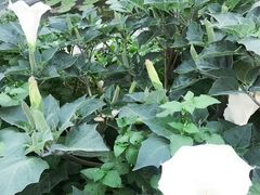 -湿地人家坑烤
