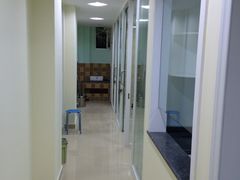 -爱贝特动物医院·猫口炎专科