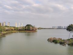 -顺峰山公园