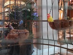 -深圳东部华侨城茵特拉根酒店