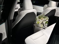-TESLA 特斯拉(郑州正弘城体验店)