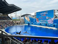 -上海海昌海洋公园