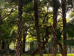 -宝安西湾红树林湿地公园