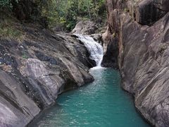 -广州白江湖森林公园