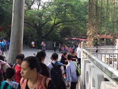 -白云山风景名胜区