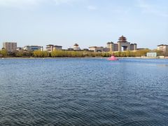 -莲花池公园