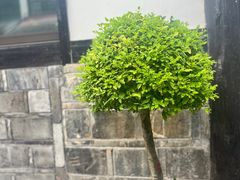 -靖港古镇