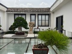 -稍可轩博物馆餐厅