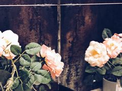 -东方红酒楼(知春路店)