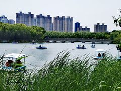 -昆山城市生态森林公园