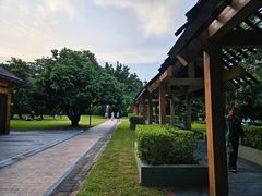 -深圳湾公园(南山区)
