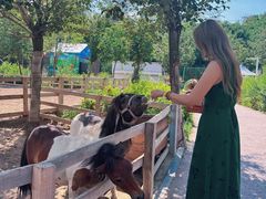 -水上乐园·欢乐世界