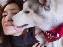 -Husky Go! 哈士奇体验馆·宠物咖啡厅狗咖